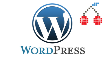 WordPress. CherryFramework 4. Jak zmienić długość fragmentów “excerpt” we wpisie?