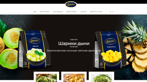 Strona www.bauer-foods.pl
